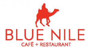 Logo Blue Nile